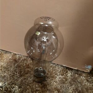 Vintage Jewel Magnavac 120v from 1920s light bulb
